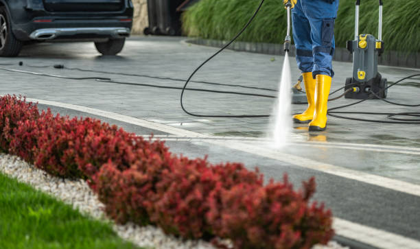 Best Fence Cleaning  in Walker Valley, NY